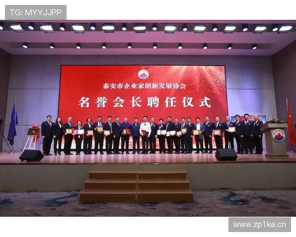 保护企业家创新精神与合法权益推动经济可持续发展的战略路径探讨